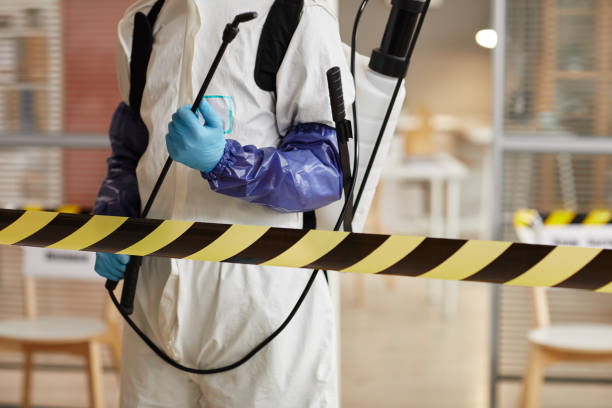 Professional Odor Removal technician working in Leslie, MO