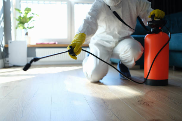 Reliable Odor Removal contractor in Leslie, MO by Trauma Clean Pros